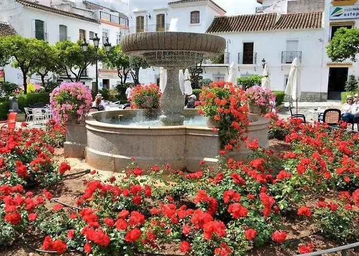 Xv Morales & Arnal *