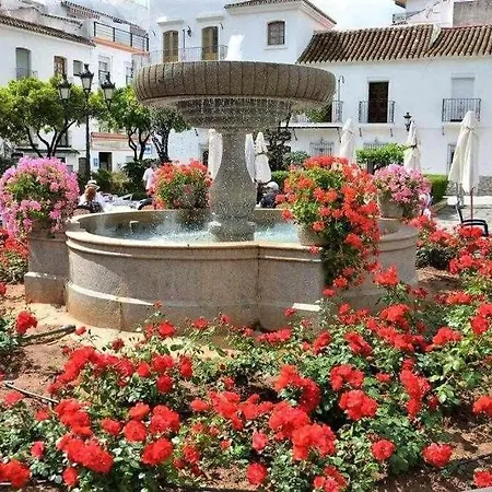 Xv Morales & Arnal *